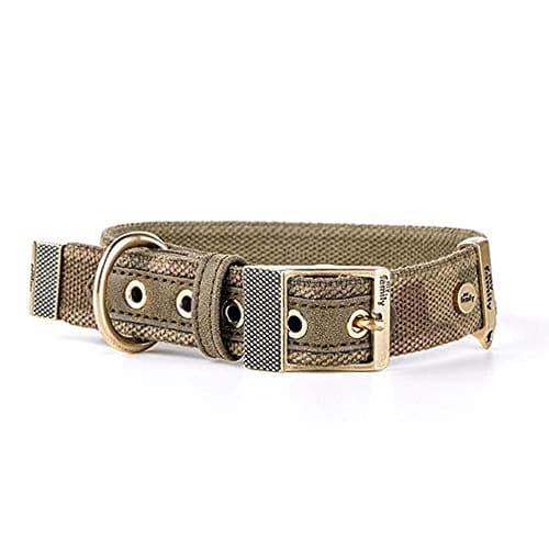 My Family West Green Collar Medium 45x2.2cm