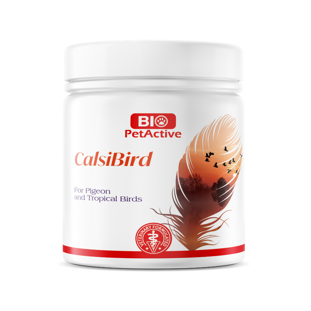 Bio PetActive Calsi Bird Supplement for Birds 200g