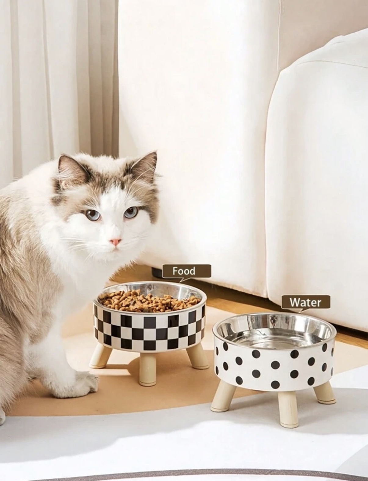 Stainless steel cat food bowl - polka dots
