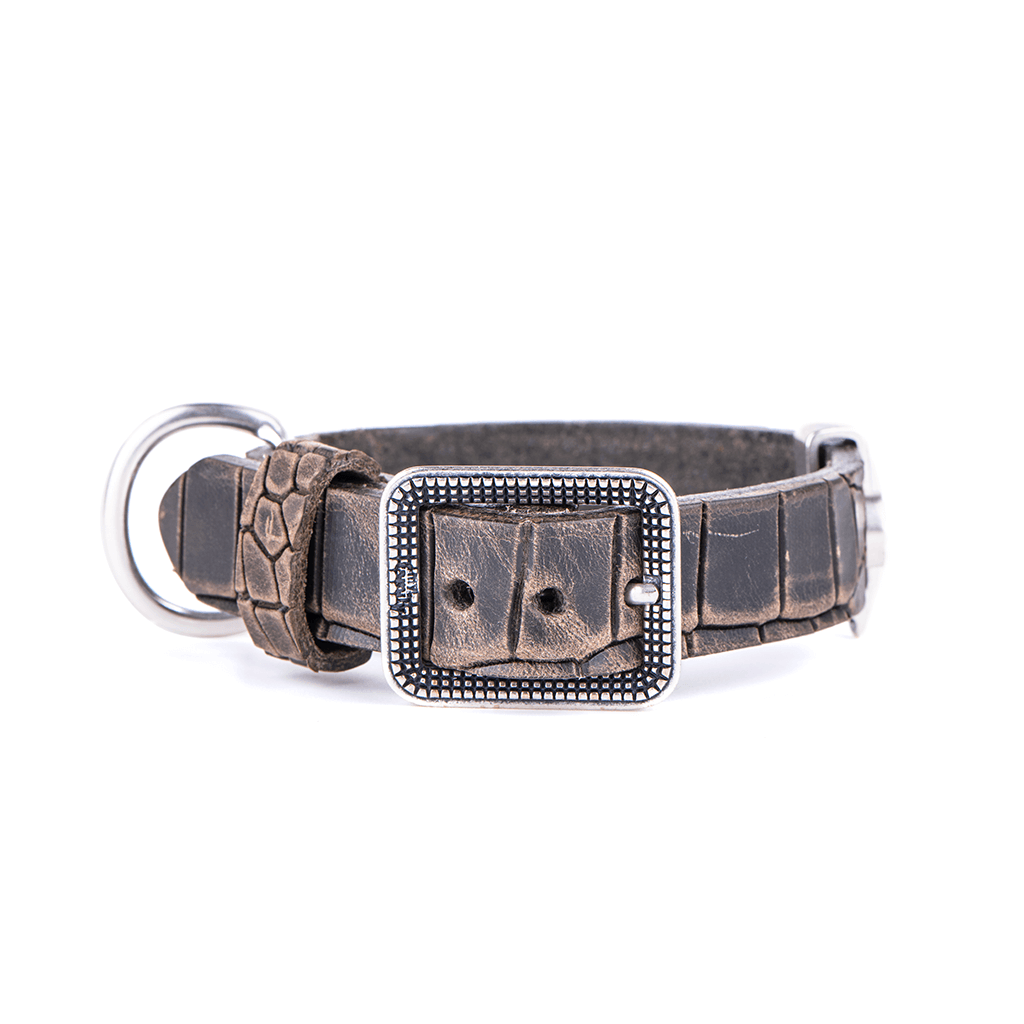 My Family Tucson Grey Leather Collar