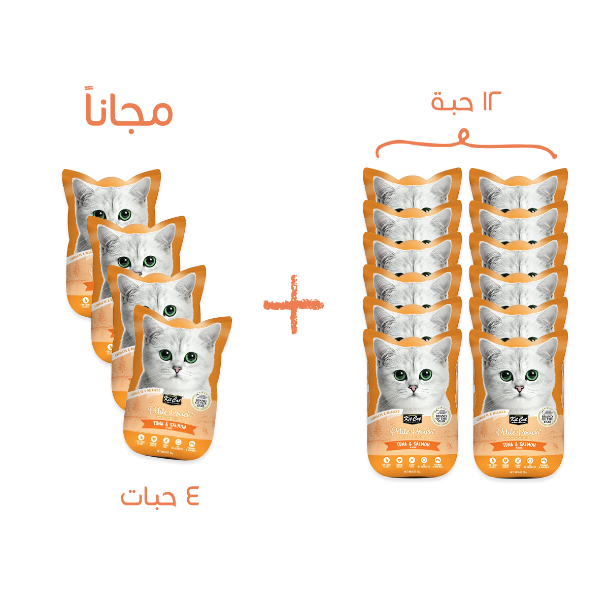 12 و4 مجانا تونة وسلمون بالجيلي طعام رطب للقطط ــ كت كات بيتيت تونة