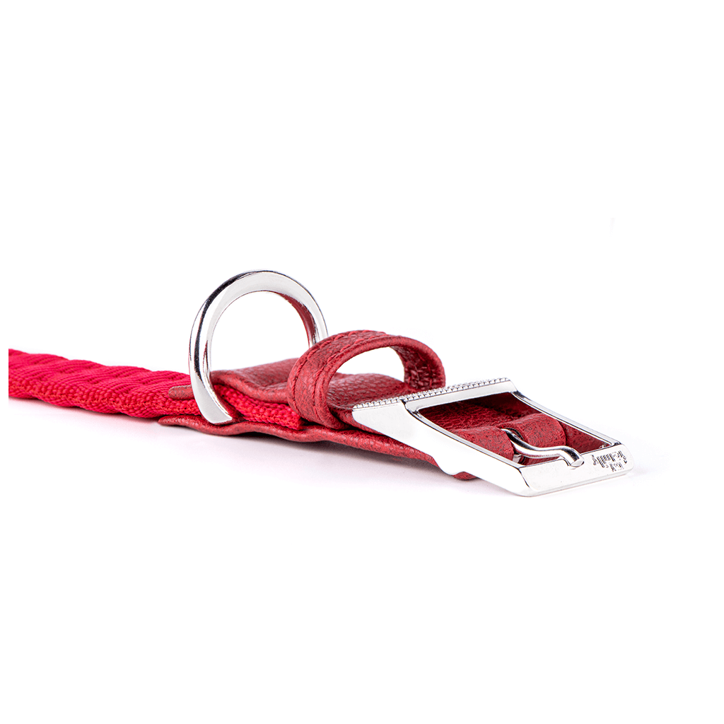 My Family Milan Red Nylon Collar 26 x 1.6 cm