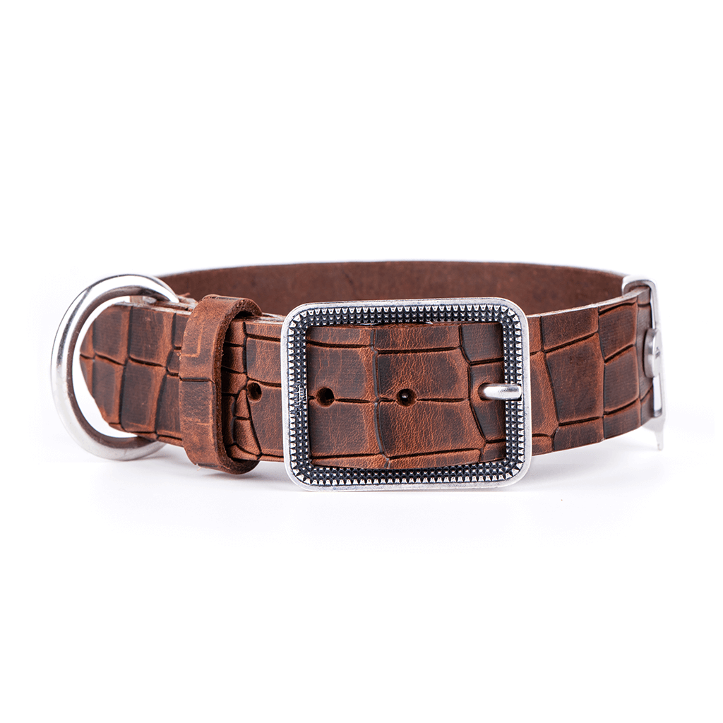My Family Tucson Brown Leather Collar 64x4 cm