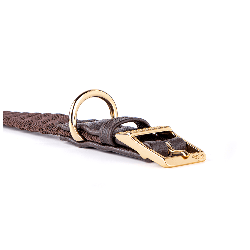 My Family Milan Brown Nylon Collar