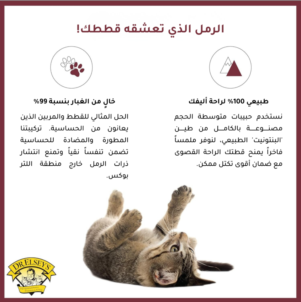 رمل كلاسيك للقطط ــ د.ألسيز