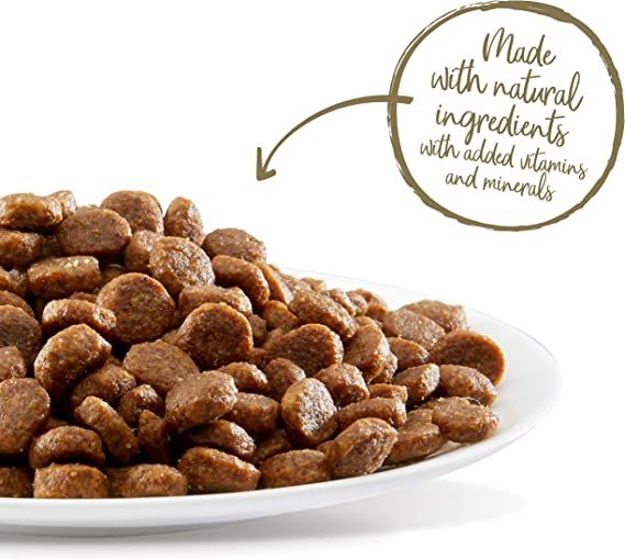 Ocean Fish & Salmon Flavor Dry Food for Neutered Cats - Applawz