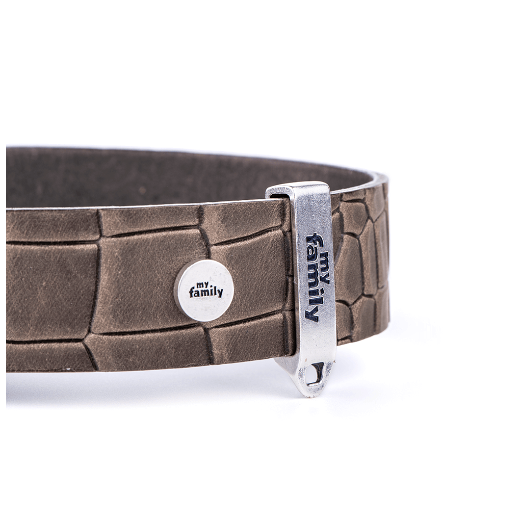 My Family Tucson Grey Leather Collar