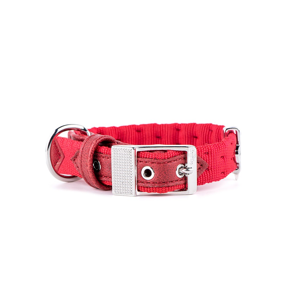 My Family Milan Red Nylon Collar 26 x 1.6 cm