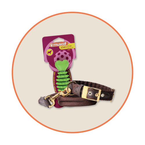 Toys & Accessories
