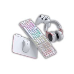 ملحقات PC قيمنق