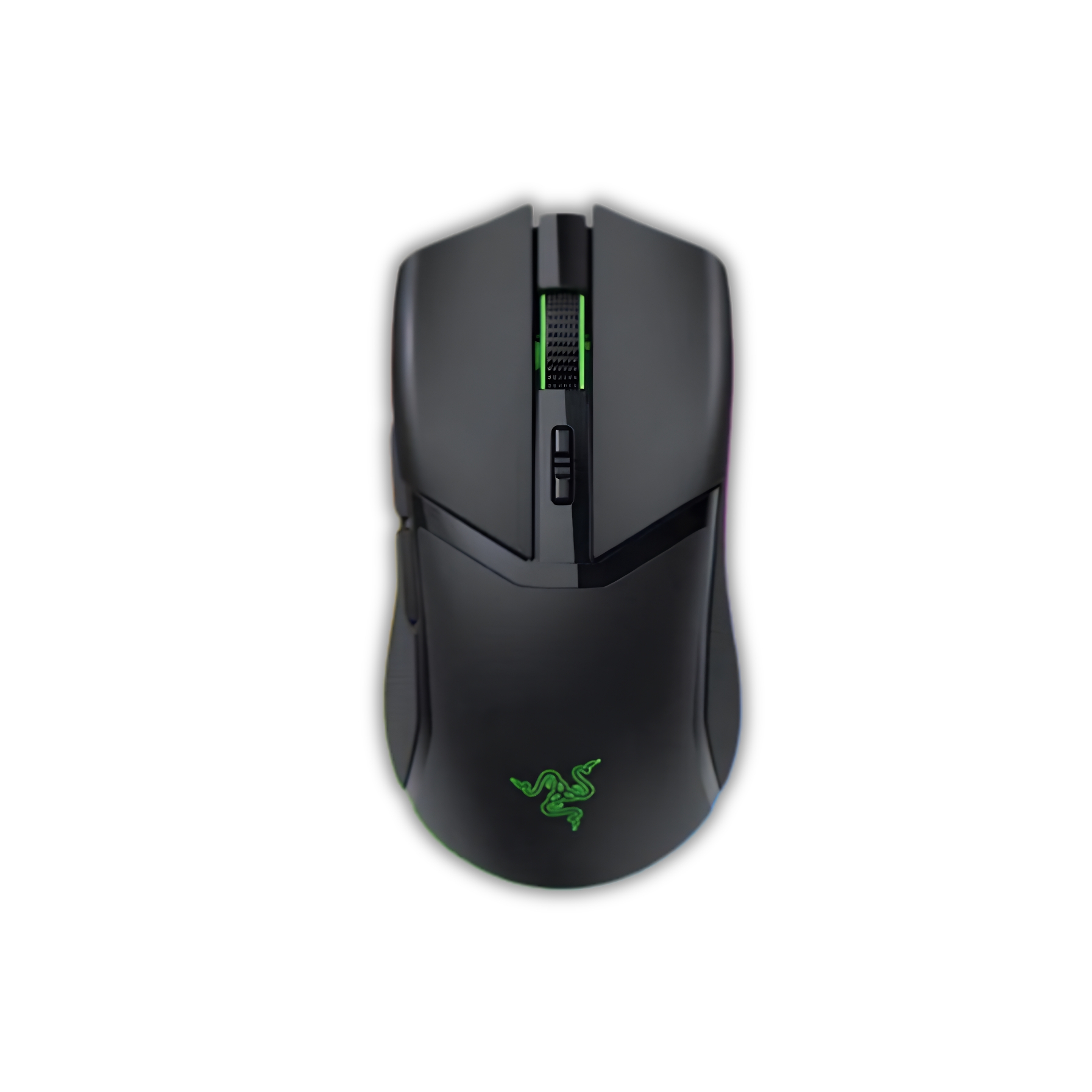 Mouse