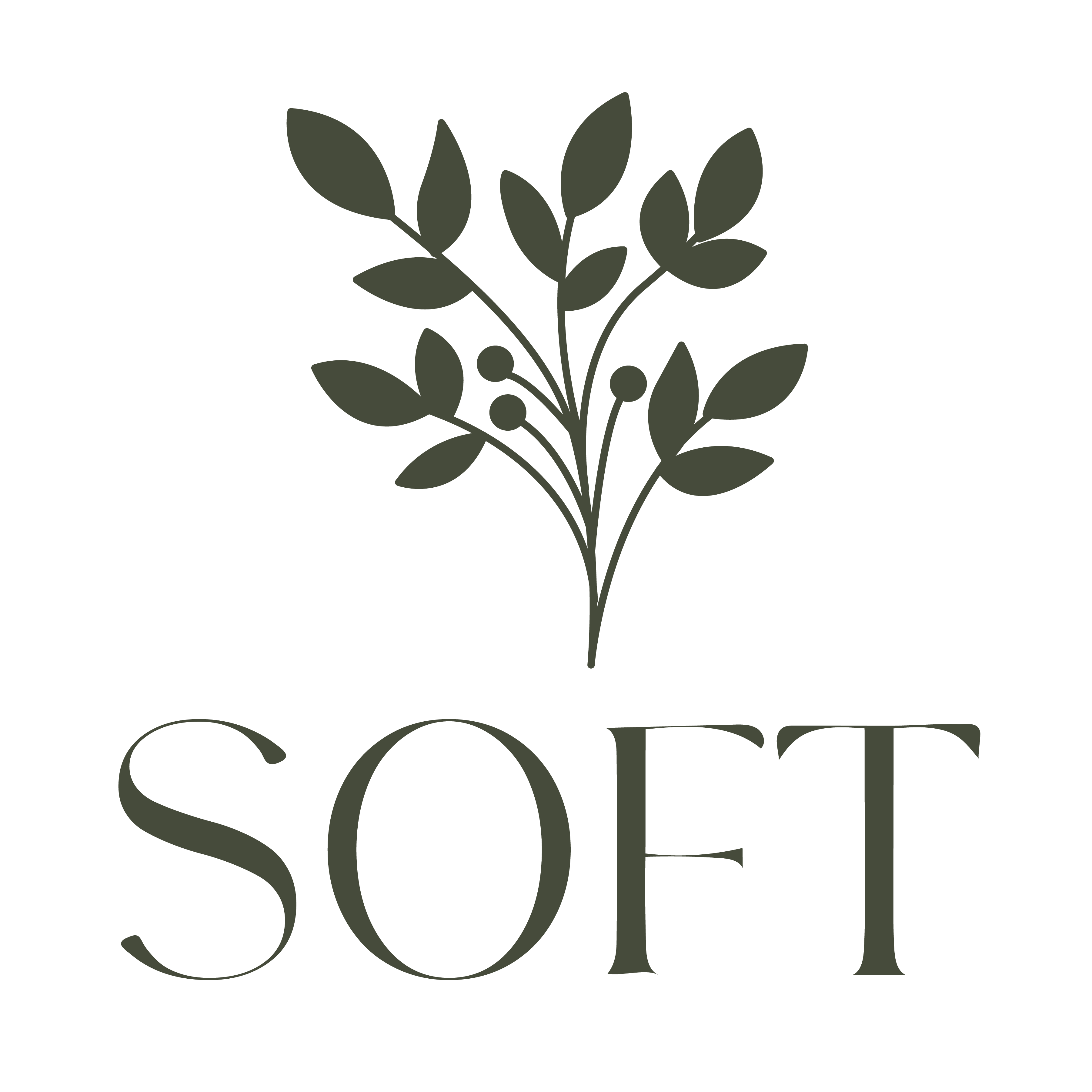soft Logo