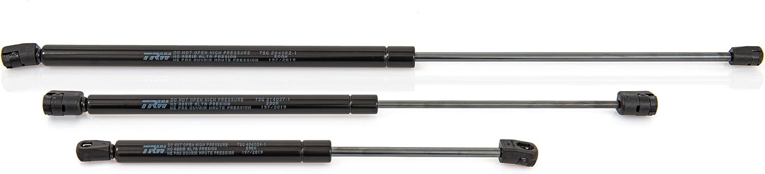 Ford Mustang 2005-2015 Trunk Shocks