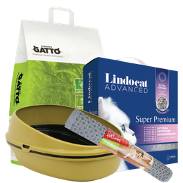 Litter & Accessories