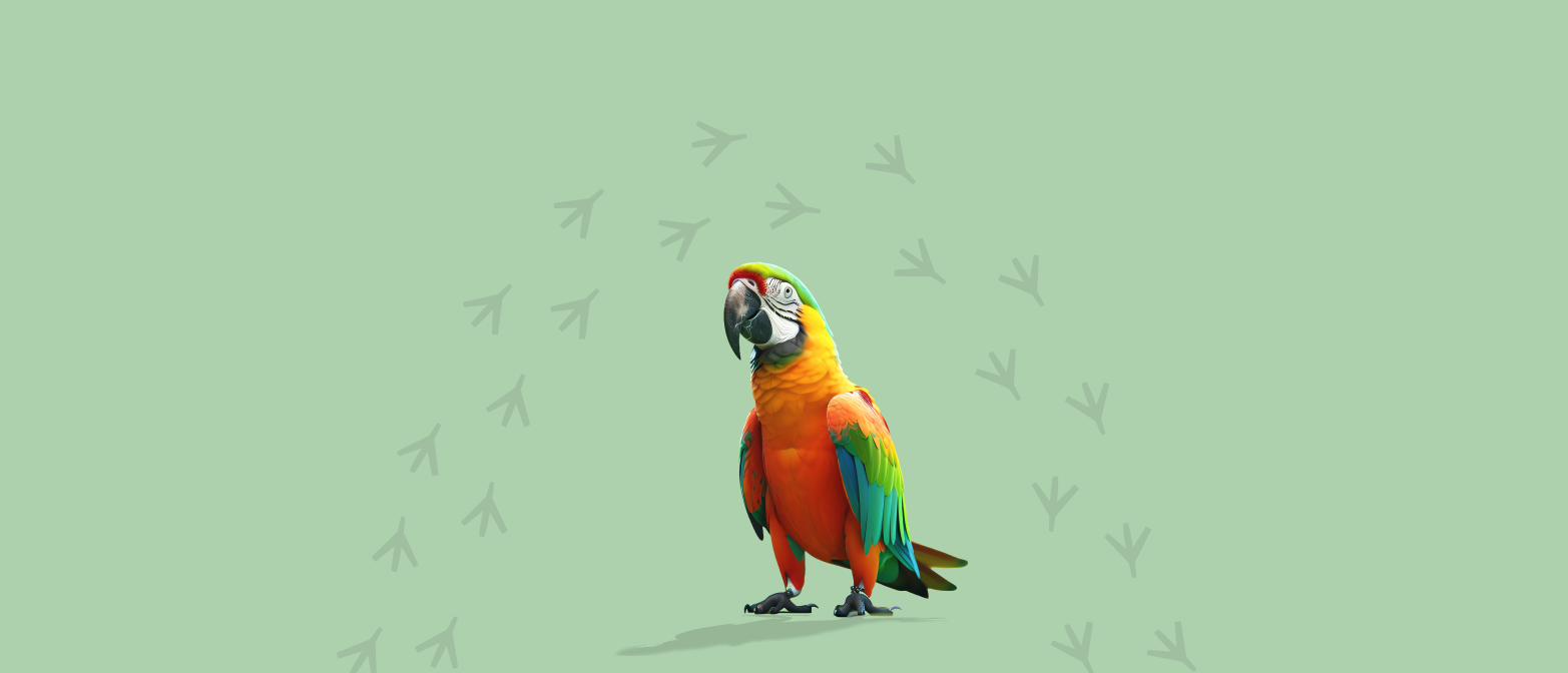 category_cover