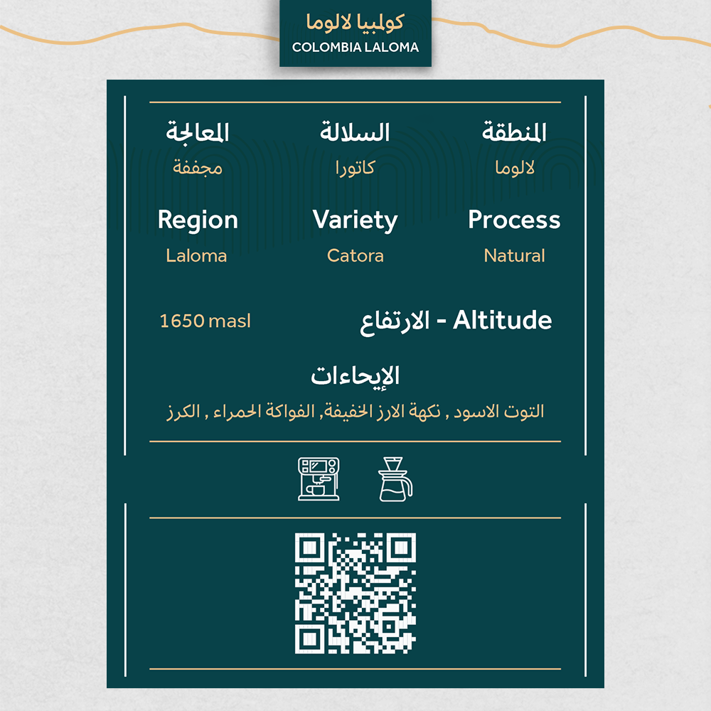 قهوة مختصة بأسعار الجملة
