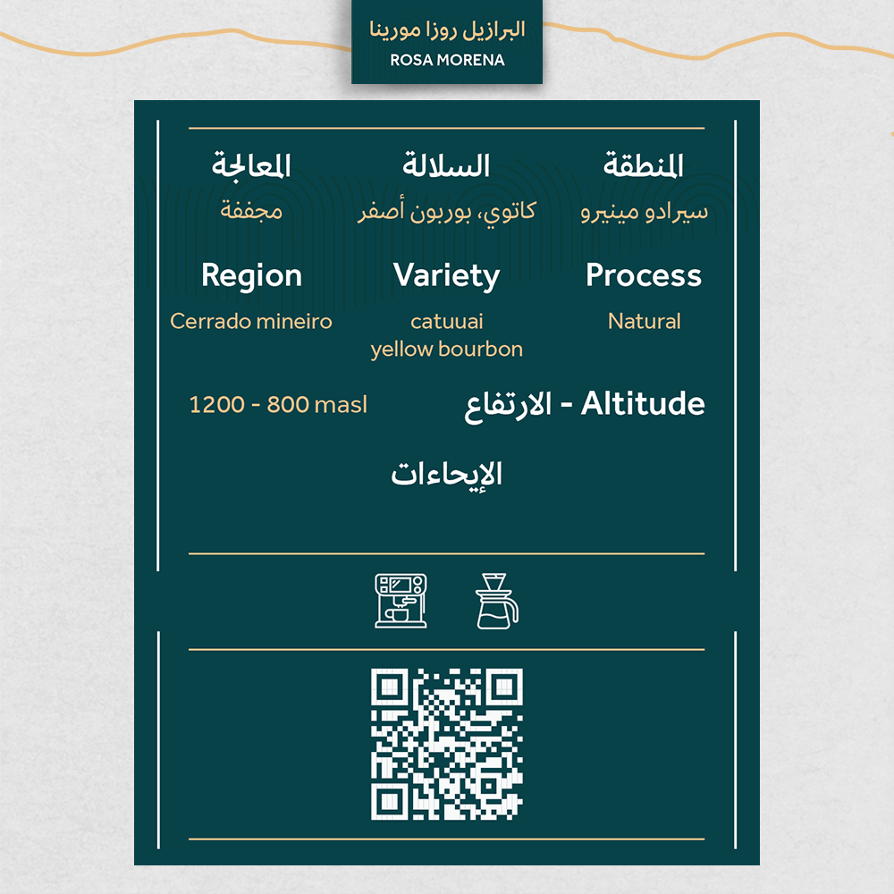 حبوب قهوة مختصة جملة
