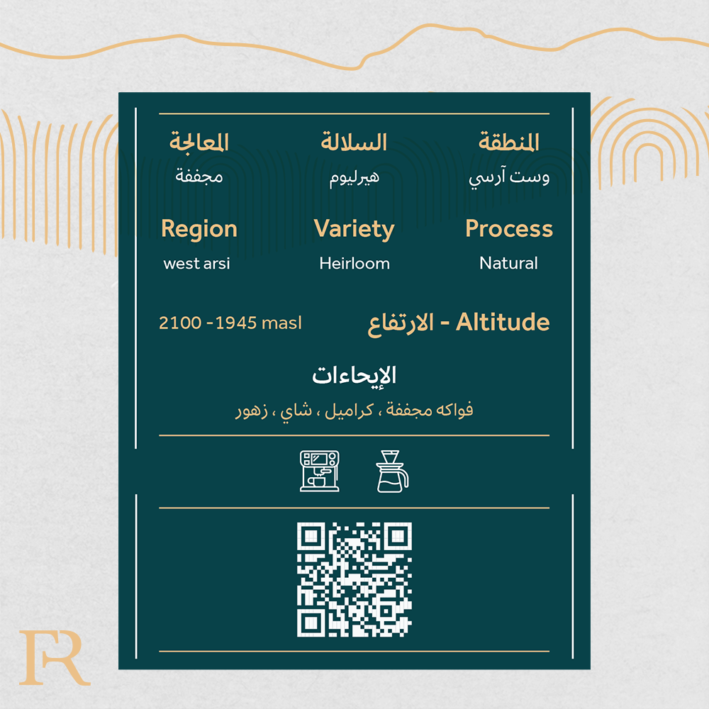 قهوة مختصة الرياض