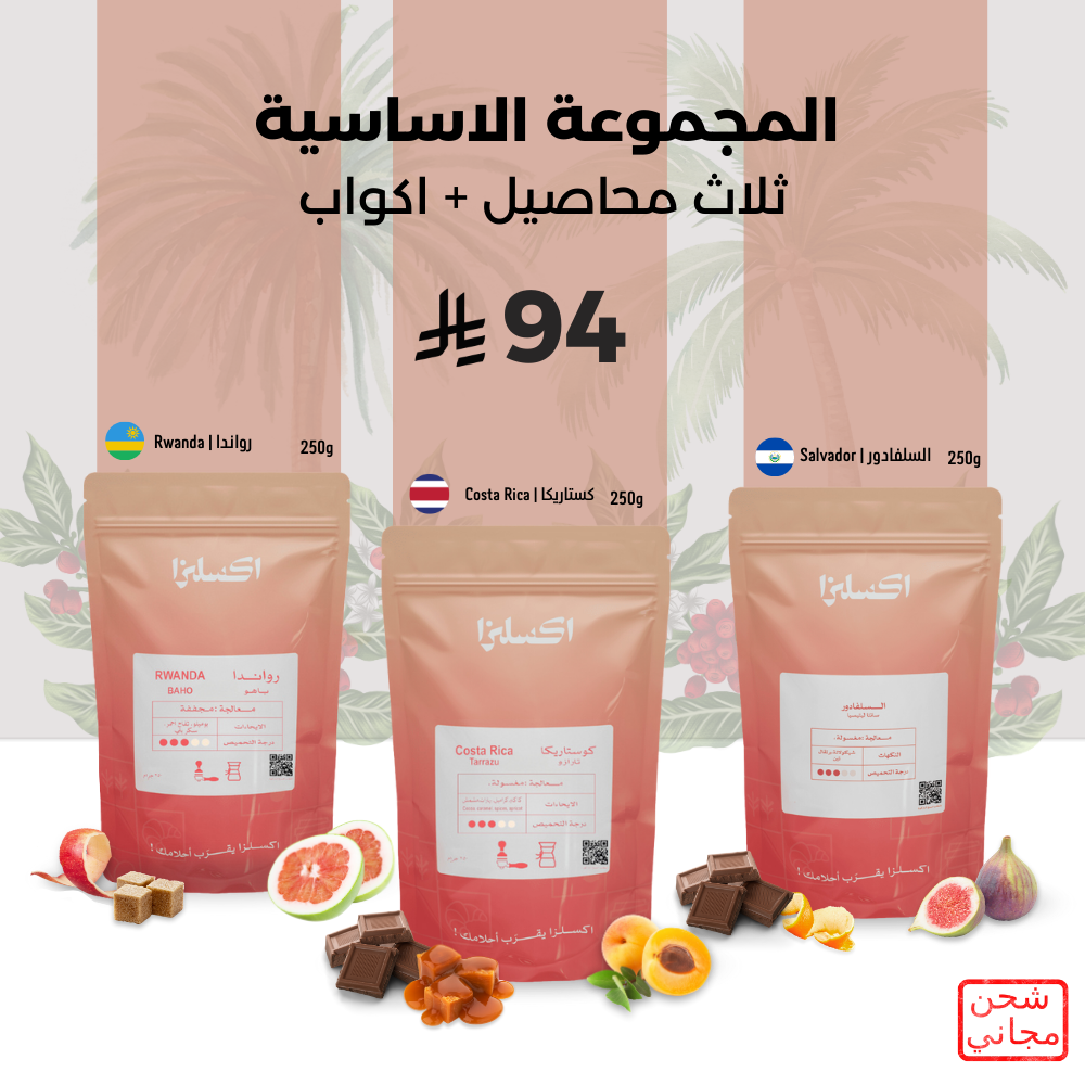 المجموعة الأساسية من إكسلزا
