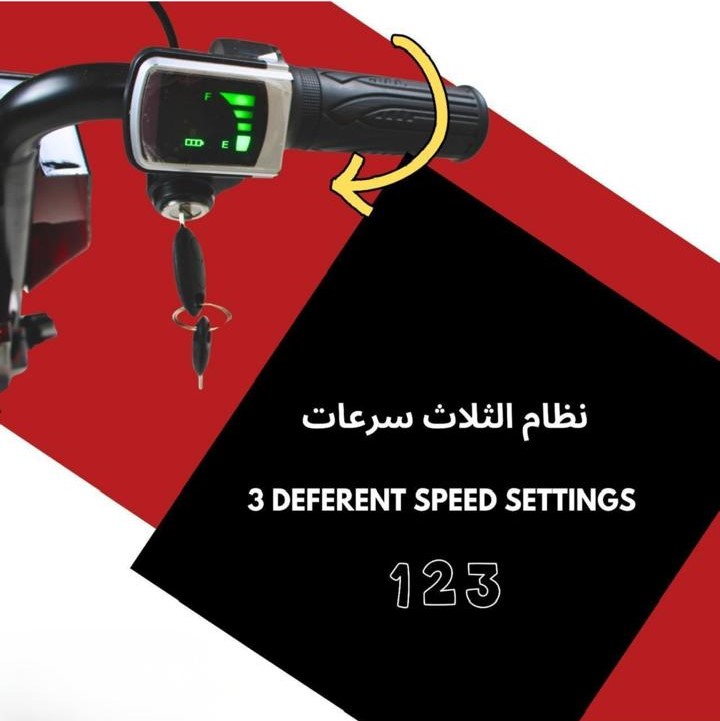  Mini Drift Scooter - 36 Volt Lightning Design 