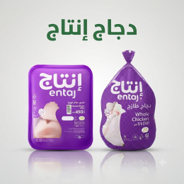 دجاج انتاج