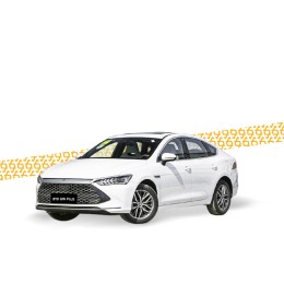 بي واي دي كين بلس - BYD QIN PLUS