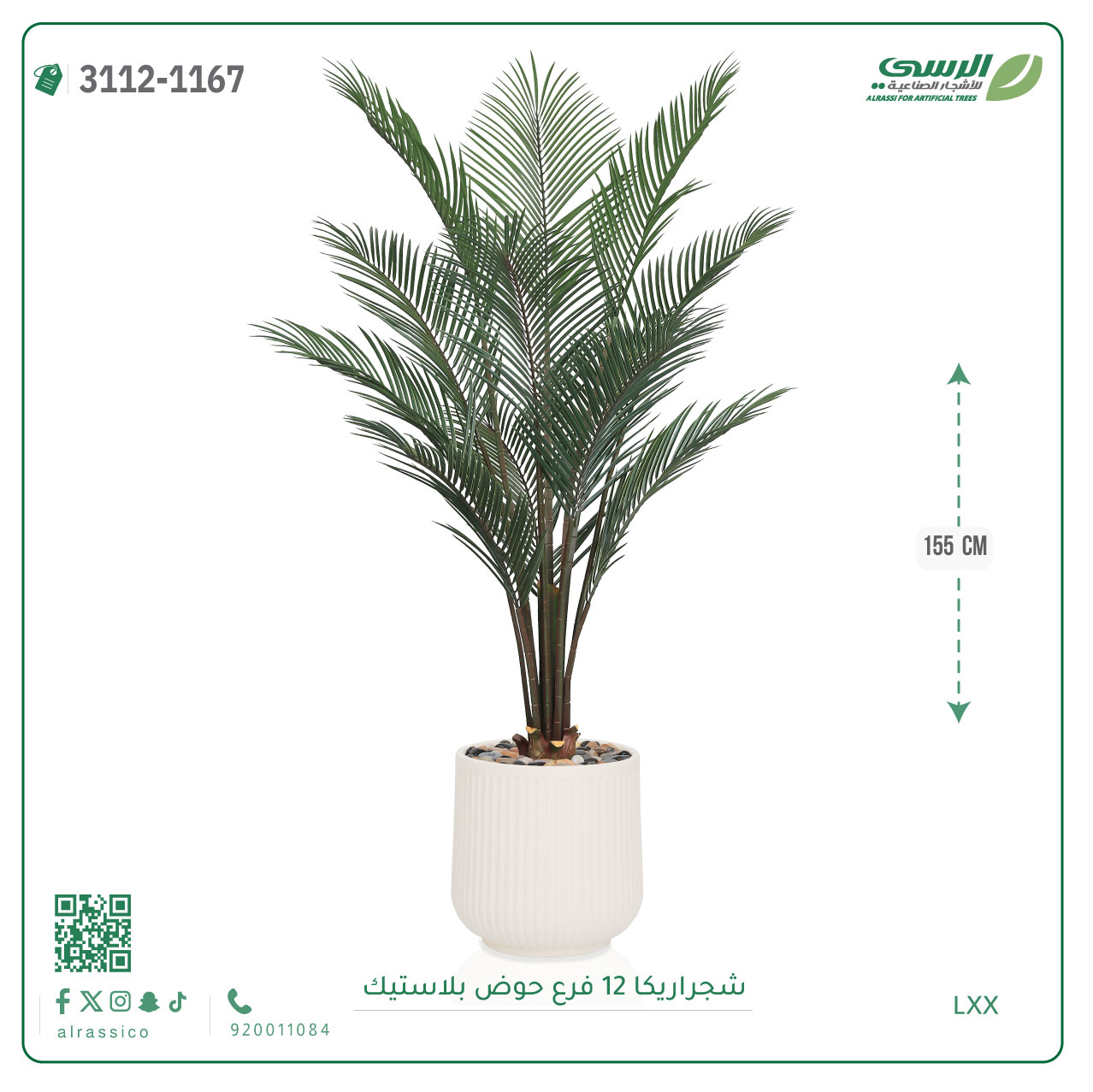  شجرة أريكا صناعية ( ارتفاع 155 سم ) حوض بلاستيك 