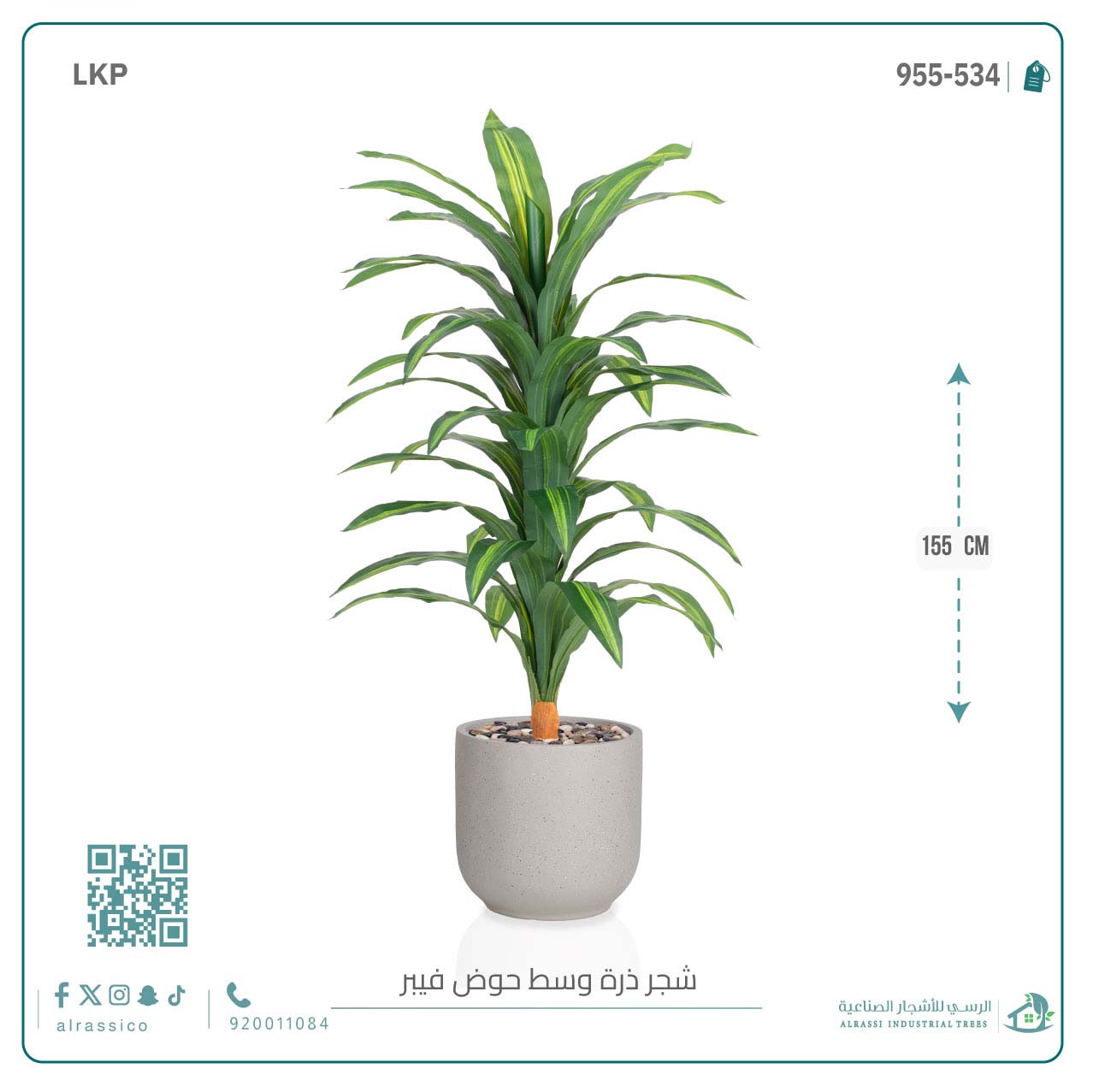   شجرة نبات الذرة (دراسينا) الاصطناعية كبيرة بمركن فيبر  أسطواني  