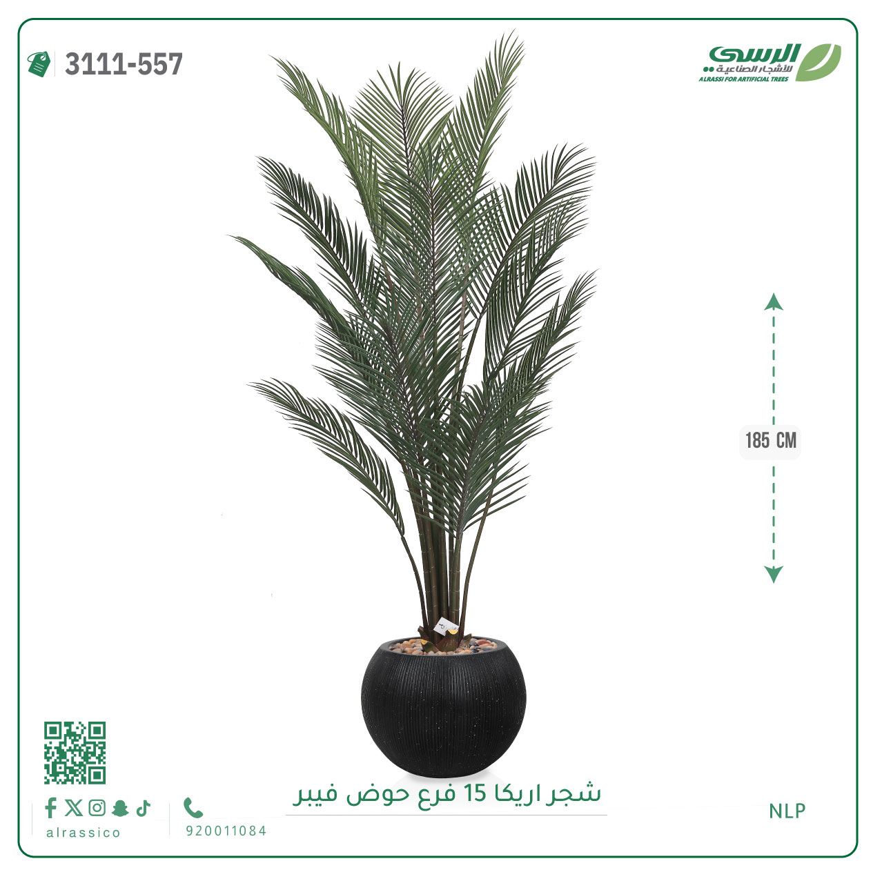  شجرة أريكا صناعية ( ارتفاع 185 سم ) حوض فيبر 