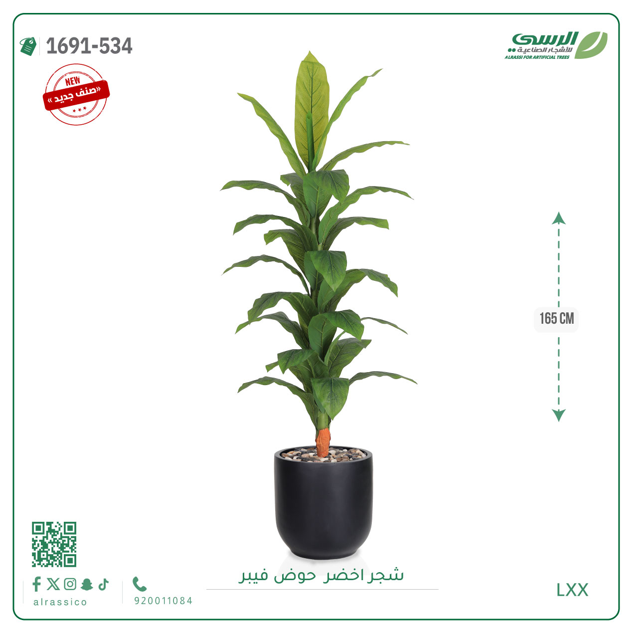  شجرة ورق أخضر وسط بمركن فيبر اسطوانى  