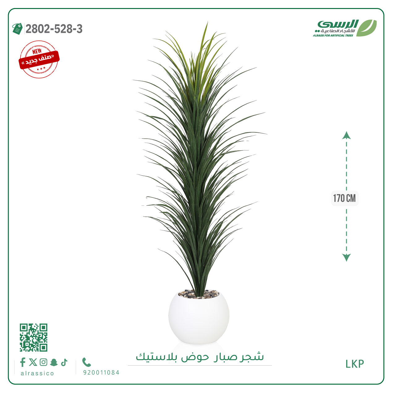  شتلة صبار بمركن بلاستيك دائري 