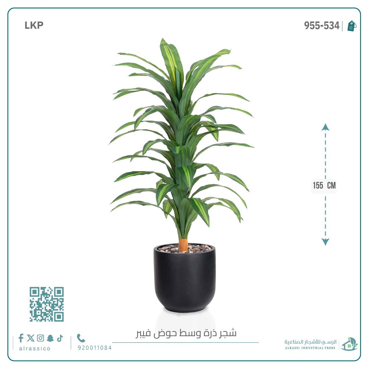   شجرة نبات الذرة (دراسينا) الاصطناعية كبيرة بمركن فيبر  أسطواني  