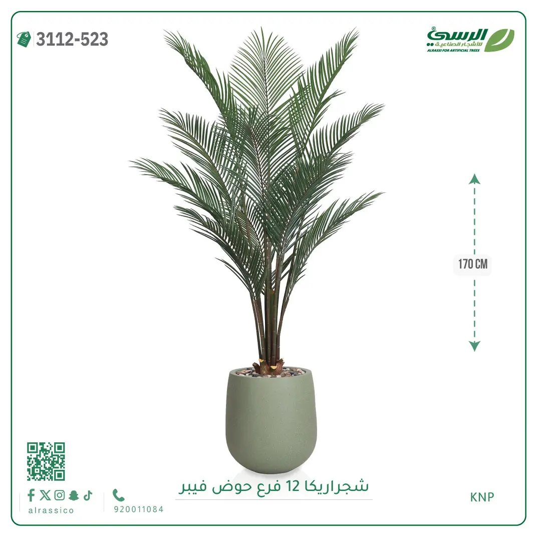  شجرة أريكا صناعية 12 فرع (ارتفاع 170 سم) حوض فيبر 
