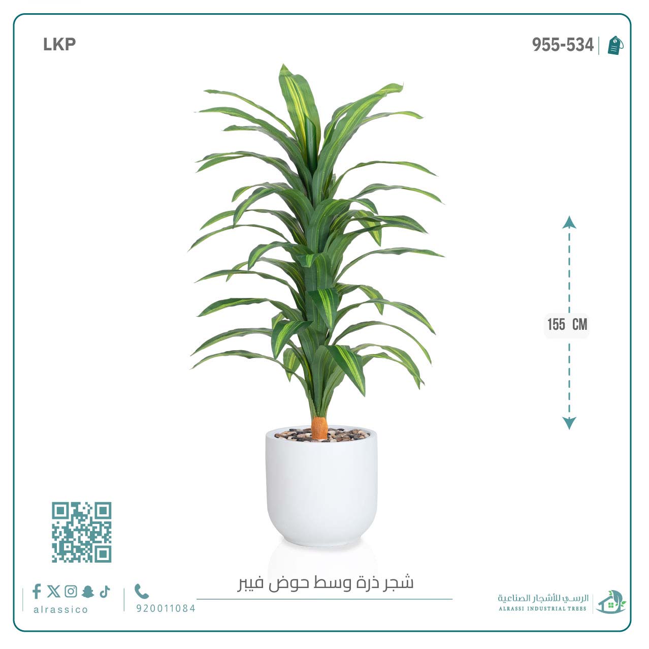   شجرة نبات الذرة (دراسينا) الاصطناعية كبيرة بمركن فيبر  أسطواني  