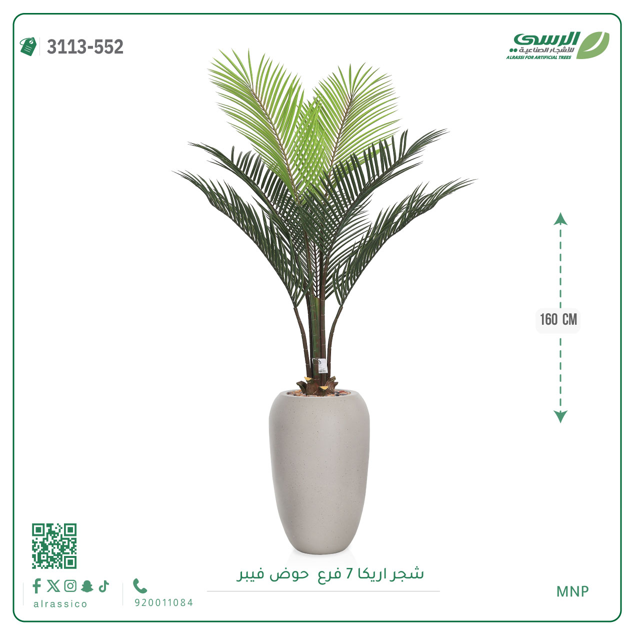  شجر أريكا (7 فروع) بارتفاع (160)بمركن فيبر أسطواني 