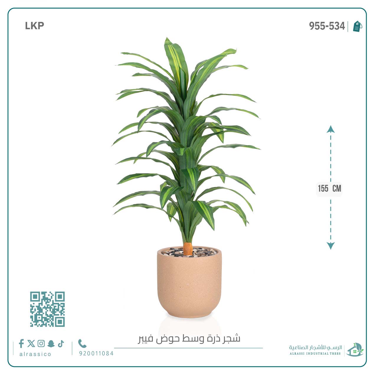   شجرة نبات الذرة (دراسينا) الاصطناعية كبيرة بمركن فيبر  أسطواني  