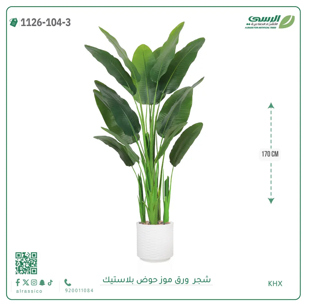  شجرة موز صناعية ( ارتفاع 170 سم ) حوض بلاستيك 