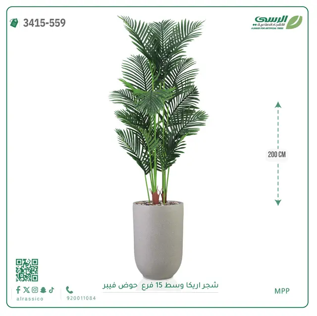  شجرة أريكا صناعية 15 فرع (ارتفاع 200 سم) حوض فيبر 