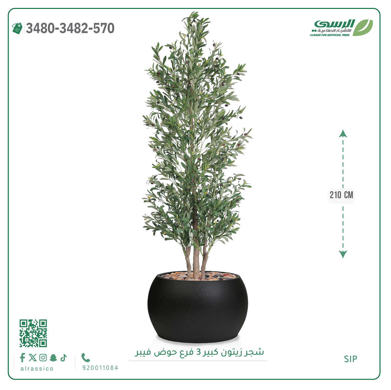  شجرة زيتون صناعية ( ارتفاع 240 سم ) حوض فيبر 