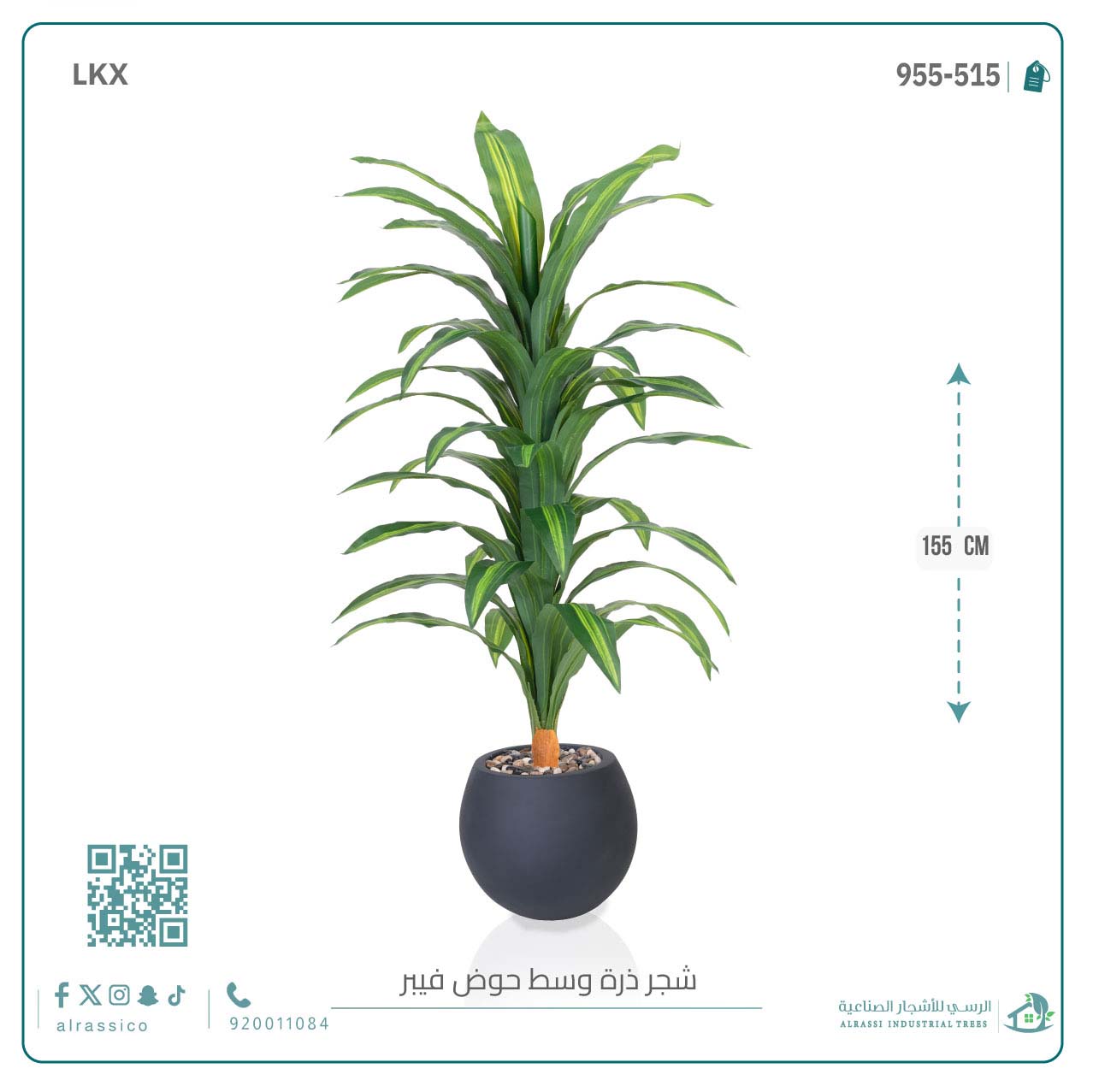  شجرة نبات الذرة (دراسينا) الاصطناعية كبيرة بمركن فيبر دائرى  