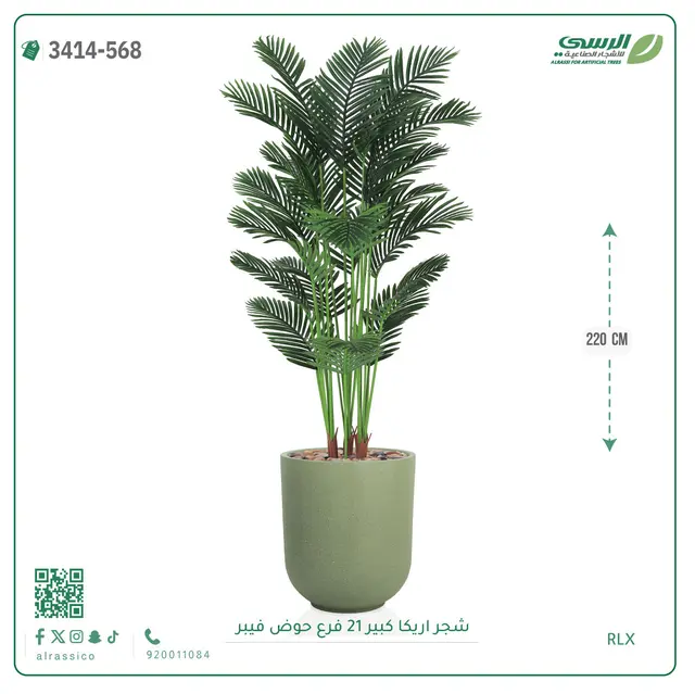  شجرة أريكا صناعية 21 فرع (ارتفاع 220 سم) حوض فيبر 