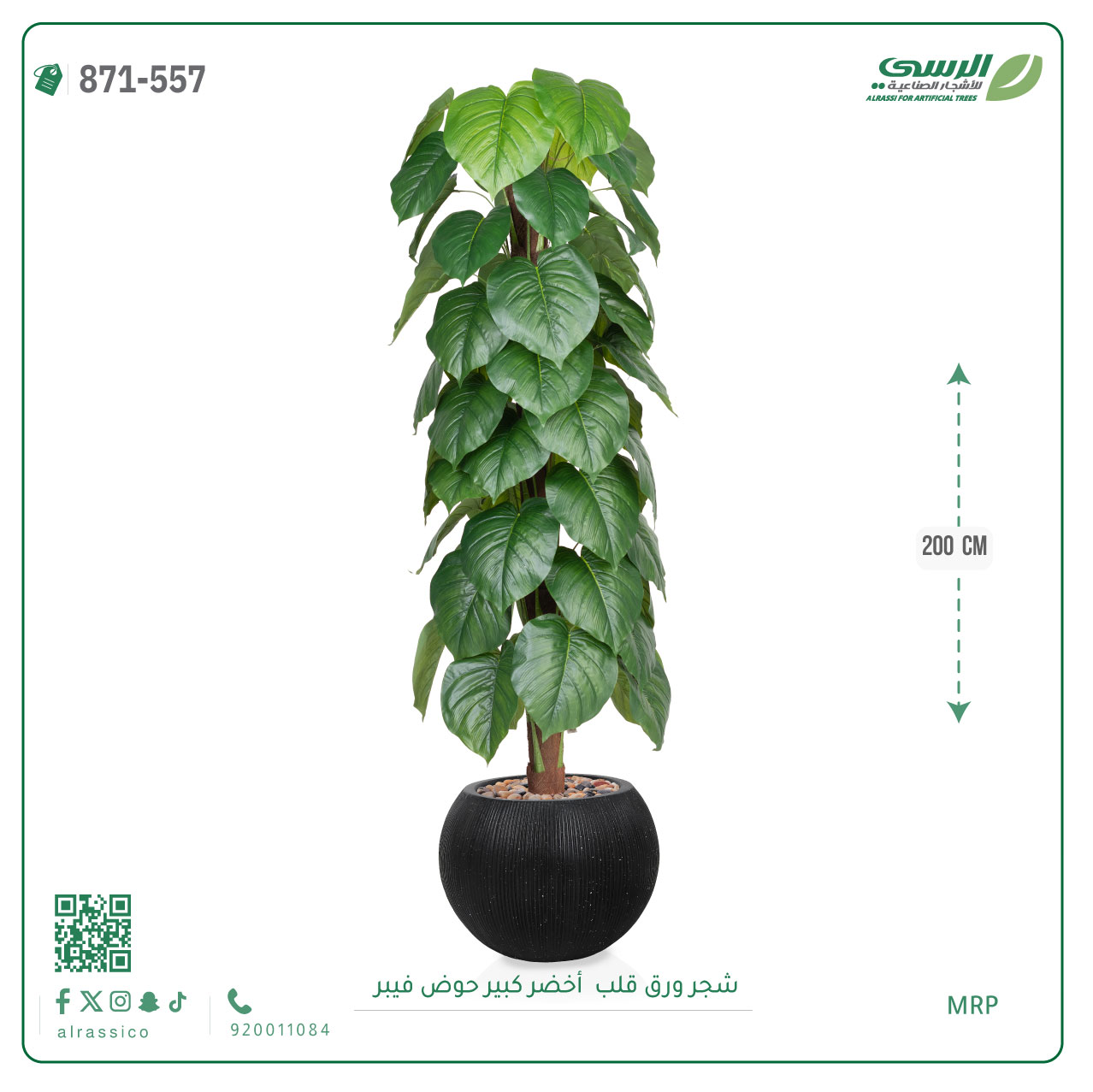  شجرة ورق قلب اصطناعية ( ارتفاع 200 سم ) حوض فايبر 