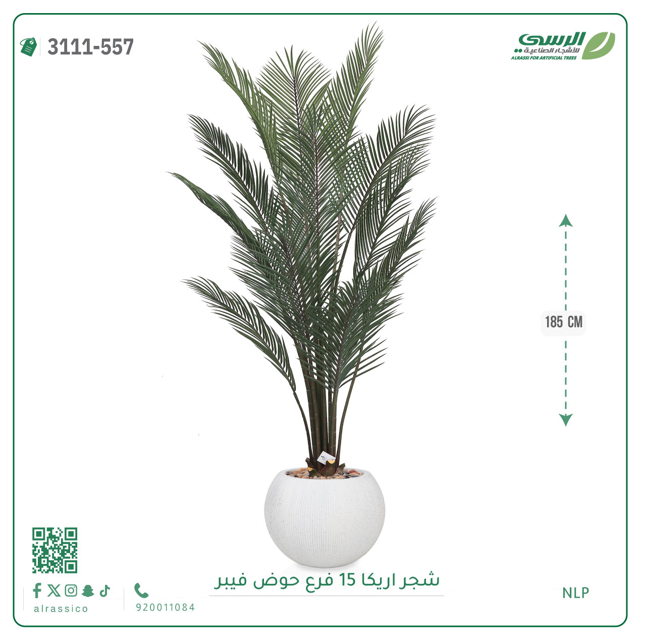  شجرة أريكا صناعية ( ارتفاع 185 سم ) حوض فيبر 