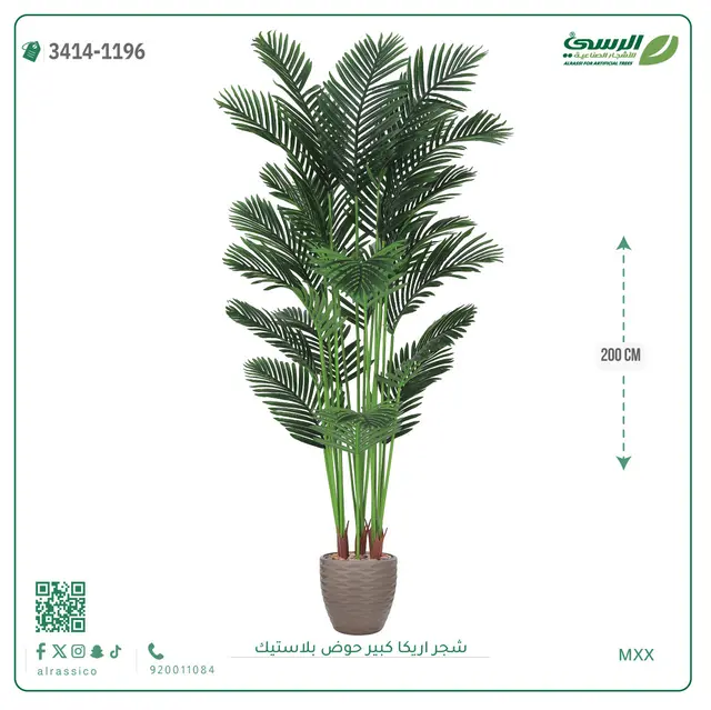  شجر أريكا صناعية ( ارتفاع 200 سم ) حوض بلاستك 