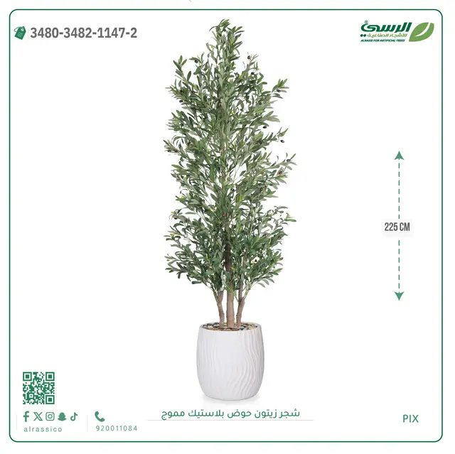  شجر زيتون صناعية ( ارتفاع 225 سم ) حوض بلاستك 