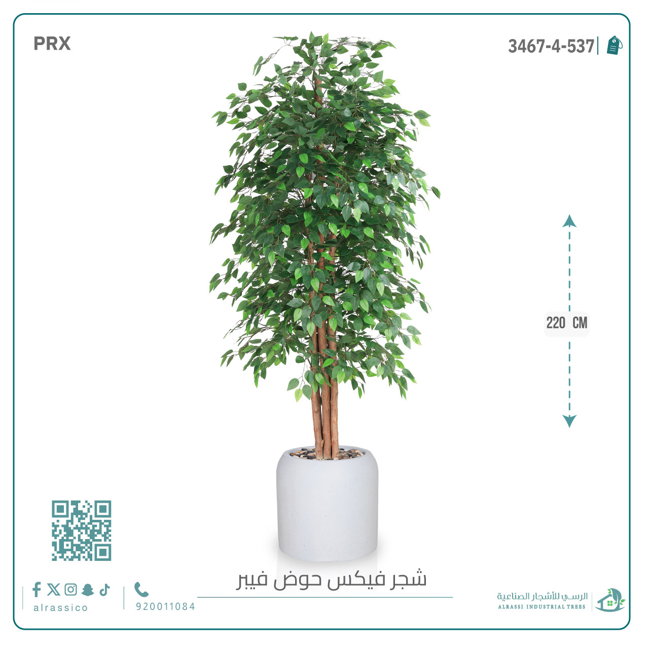  شجرة ورق فيكس اصطناعية بمركن فيبر  أسطواني 