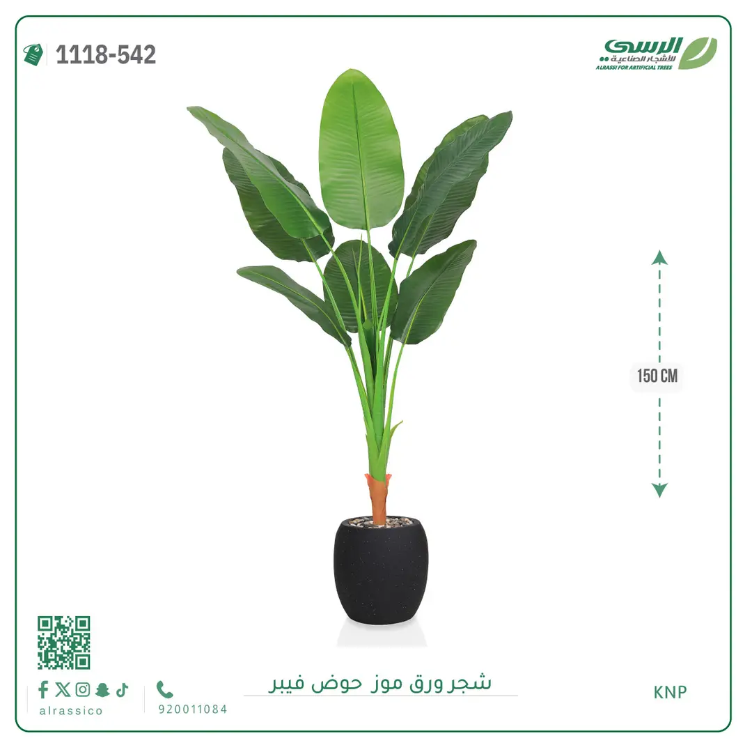  شجرة موز صناعية ( ارتفاع 150 سم ) حوض فيبر 