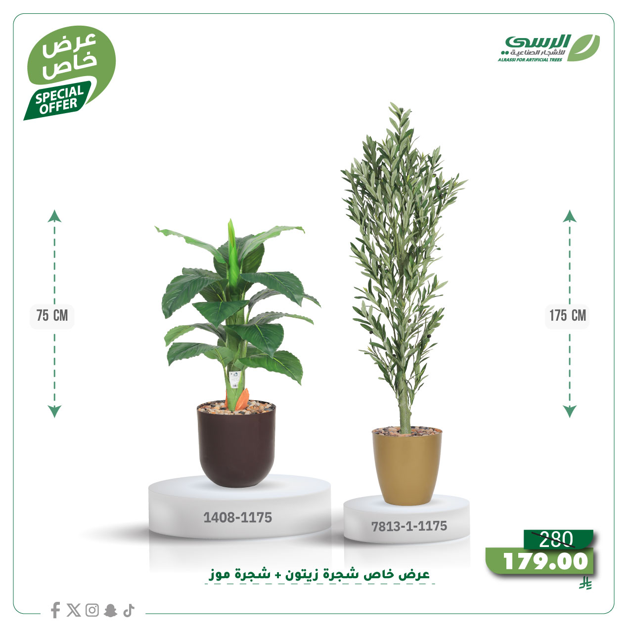  عرض شجرة زيتون صناعية ( ارتفاع 175 سم ) + شجرة ورق موز صناعية ( ارتفاع 75 سم ) حوض بلاستيك 