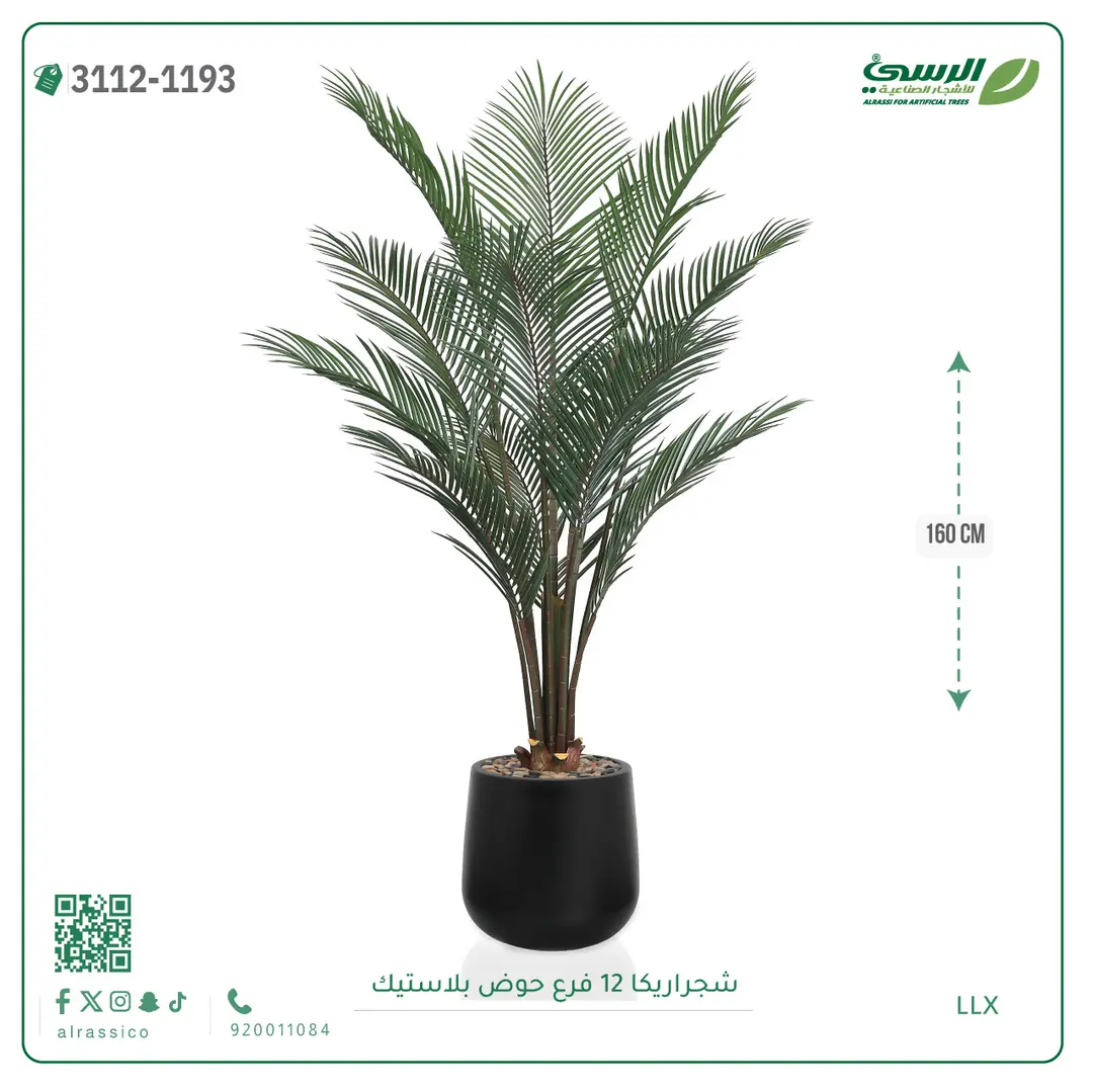  شجرة أريكا صناعية 12 فرع (ارتفاع 160 سم) حوض بلاستيك 