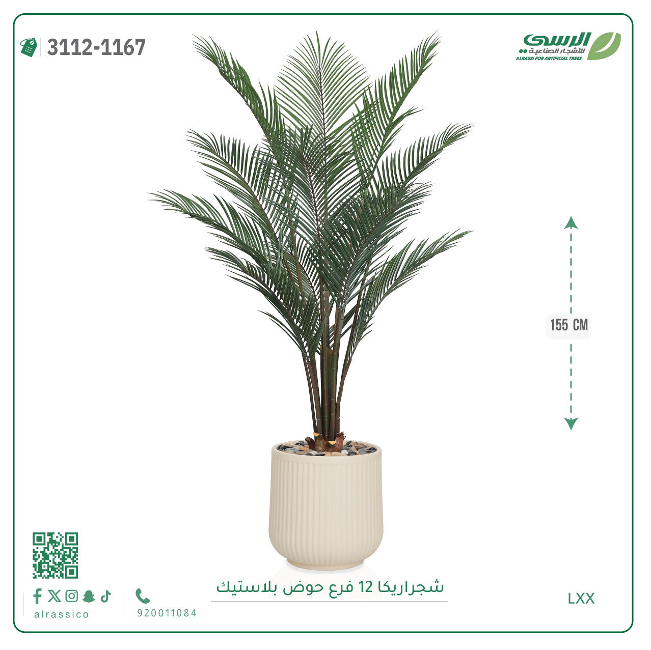  شجرة أريكا صناعية ( ارتفاع 155 سم ) حوض بلاستيك 
